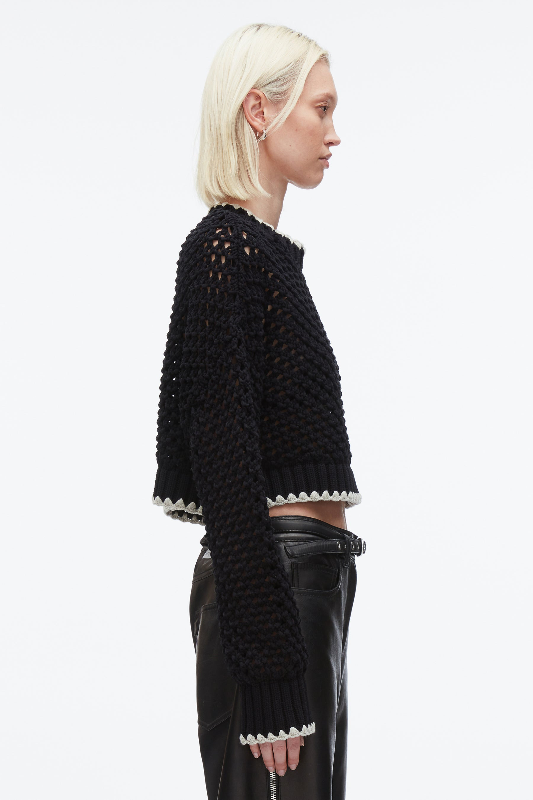 Open Work Cropped Sweater - 4