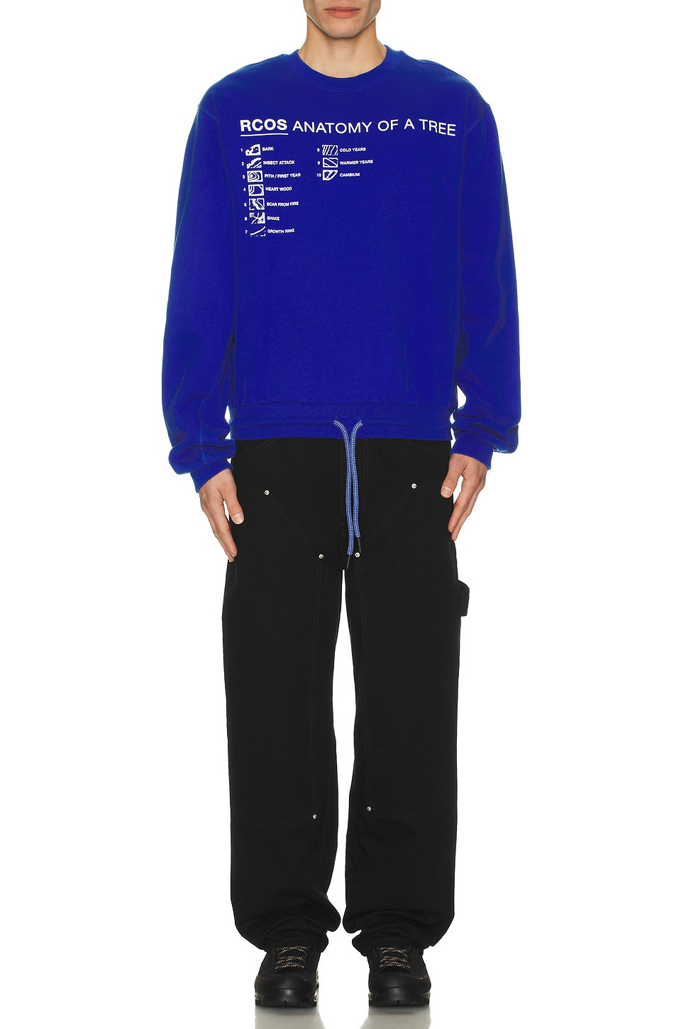 Anatomy Of A Tree Crew Neck Sweatshirt - 4