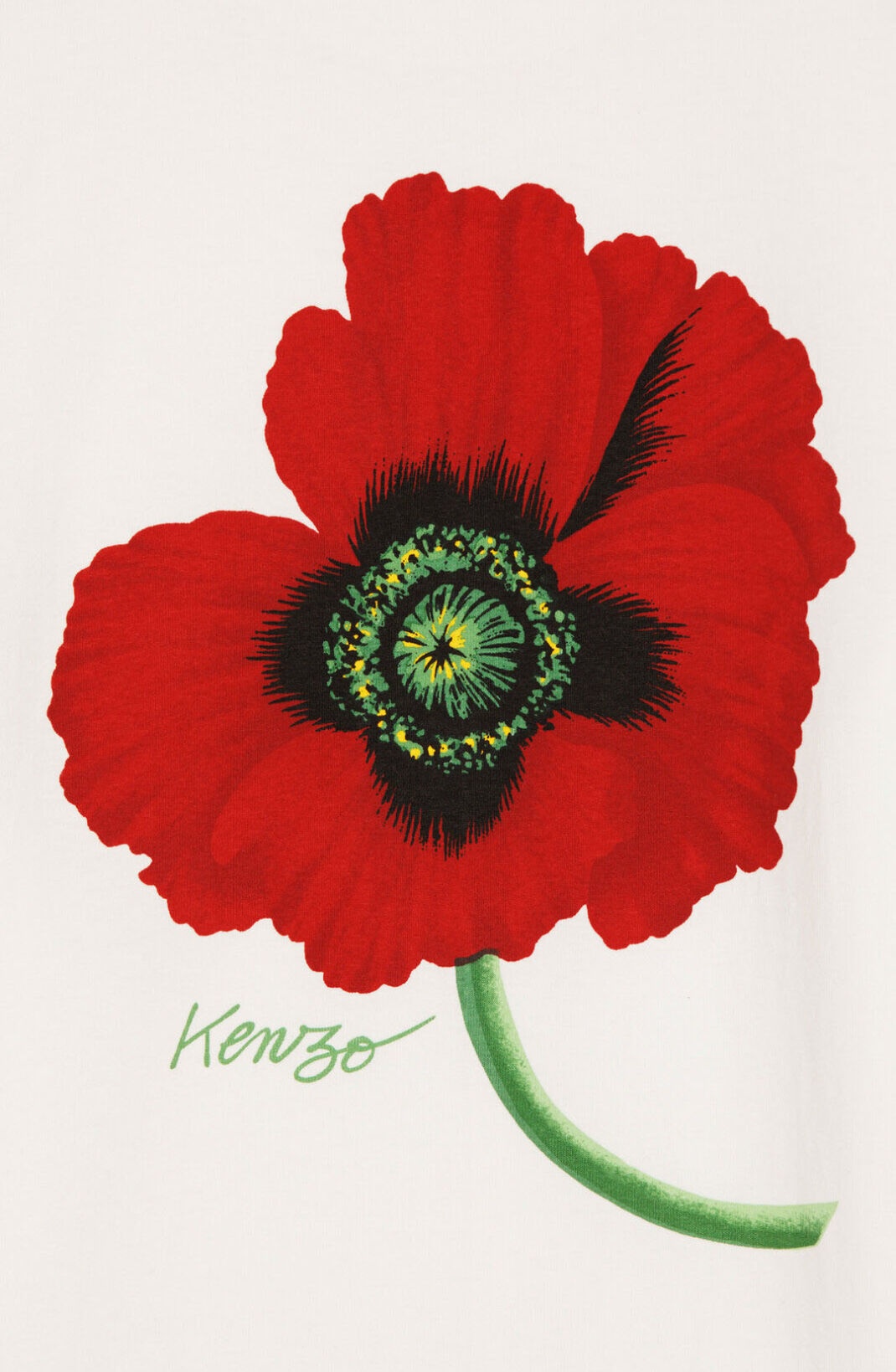 'KENZO POPPY' loose T-shirt - 4