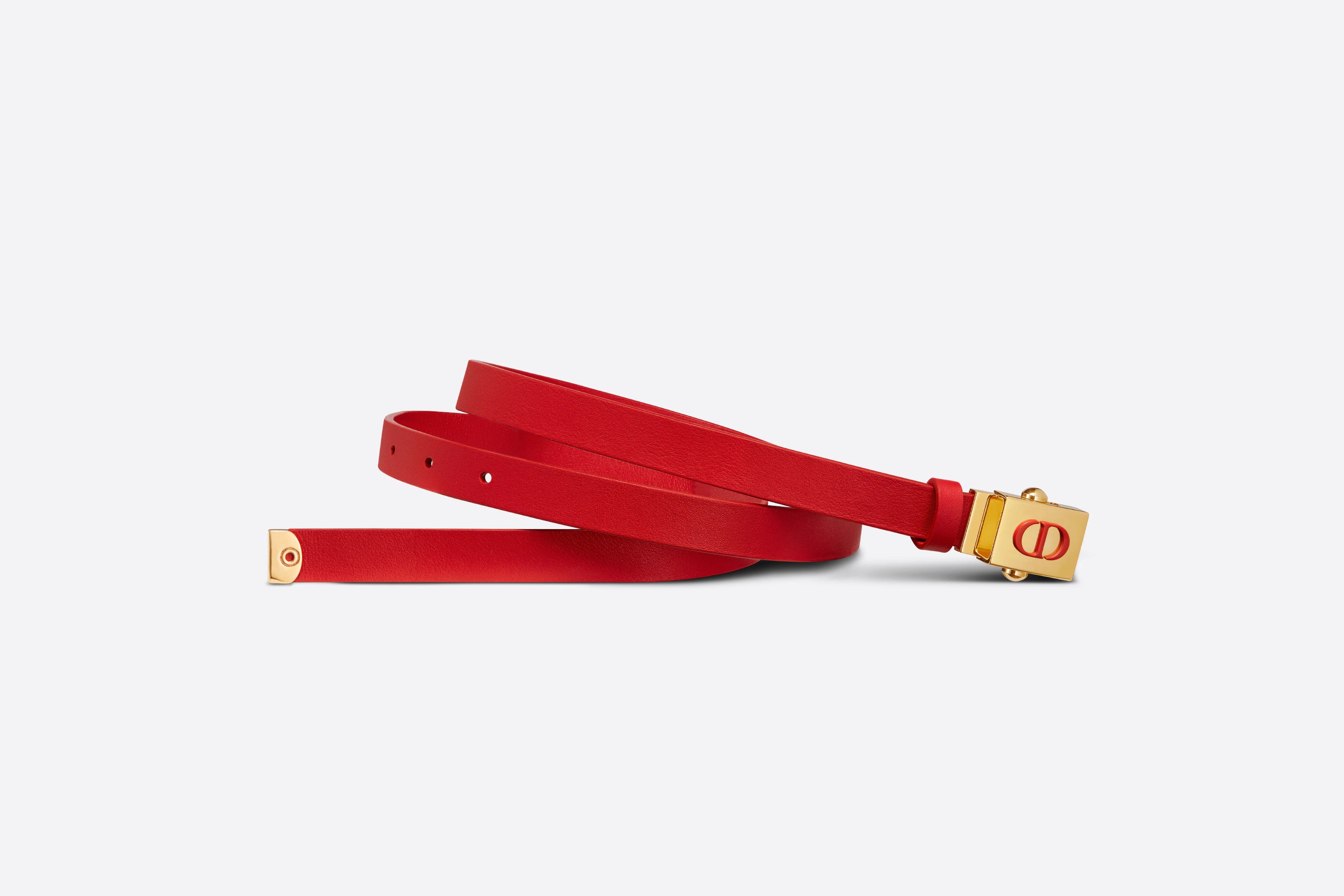 Diorpolytechnique Belt - 3