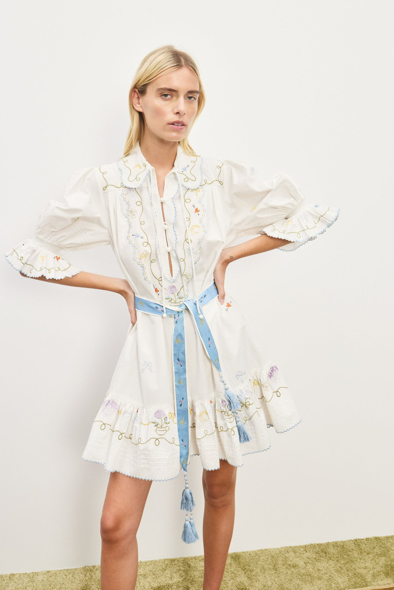 Giulia Embroidered Mini Dress 6
