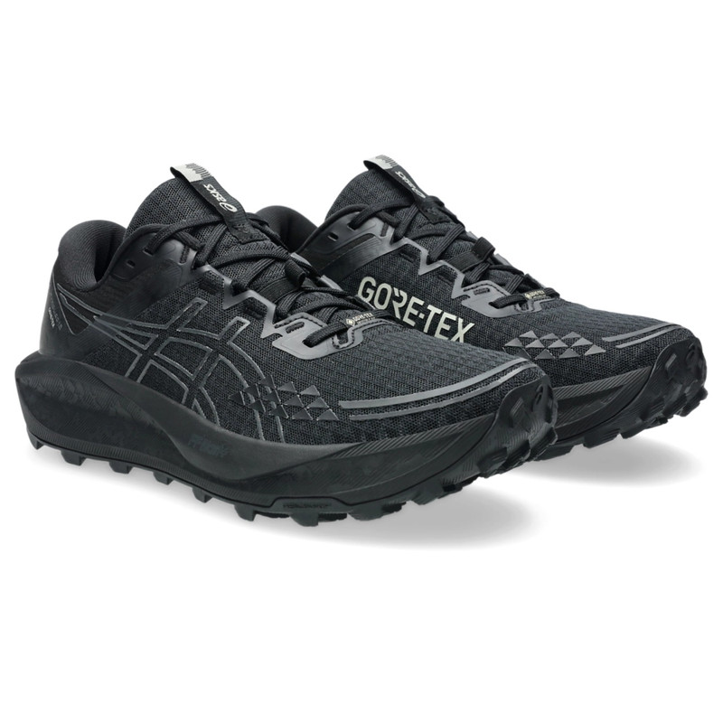 Asics GEL-TRABUCO 13 GTX outlook