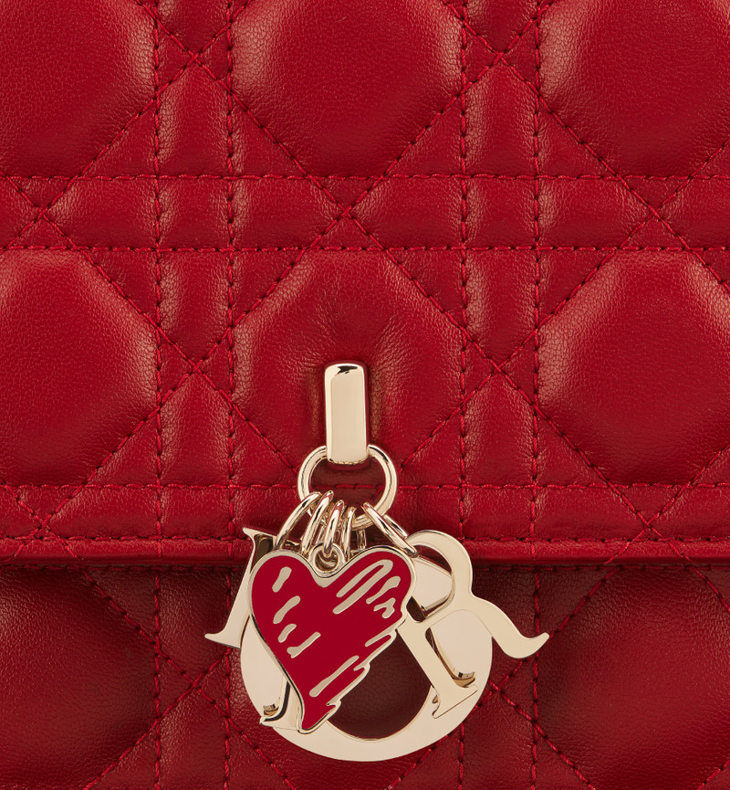 Dioramour My Dior Top Handle Bag 6