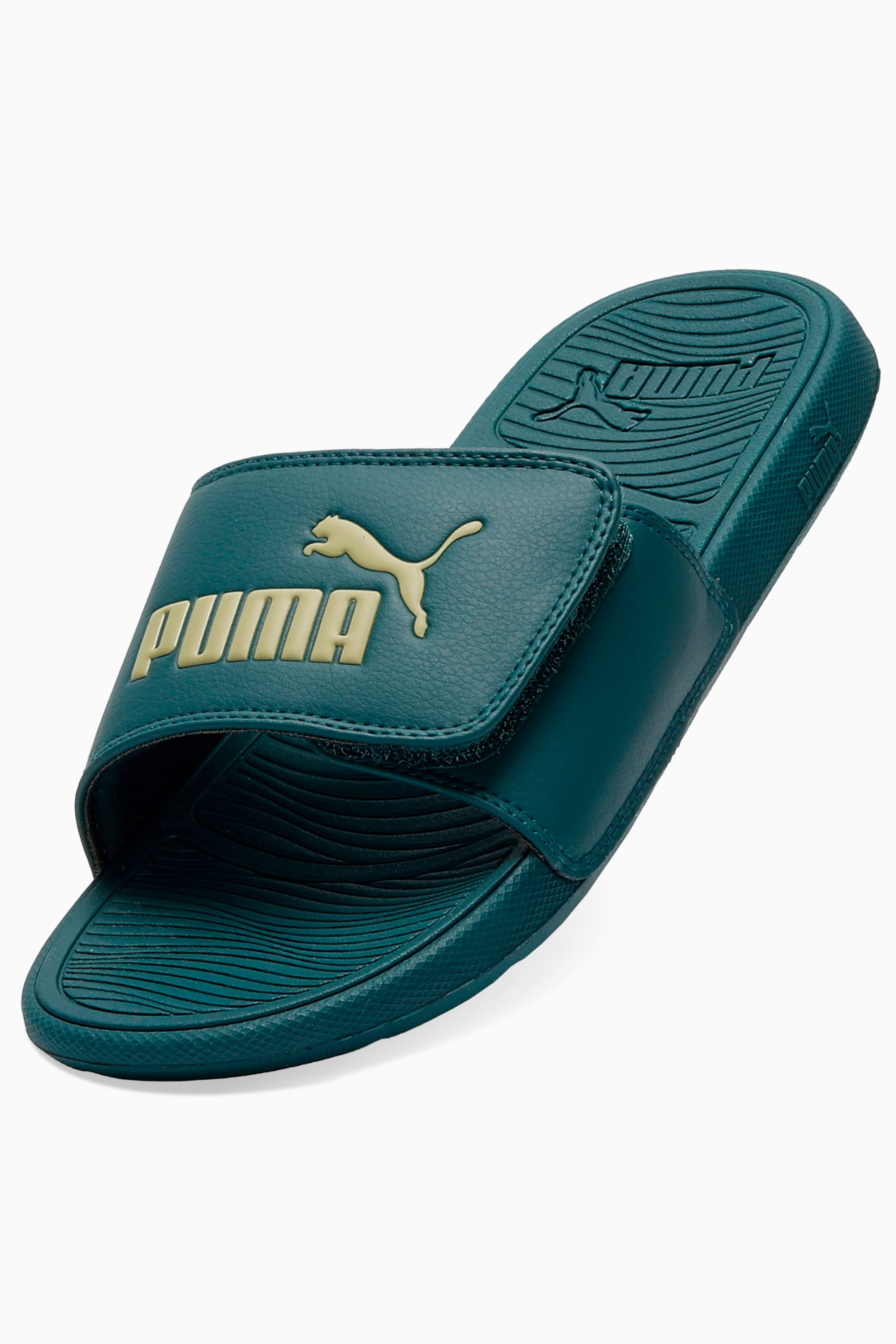 Cool Cat 2.0 Slides - 6