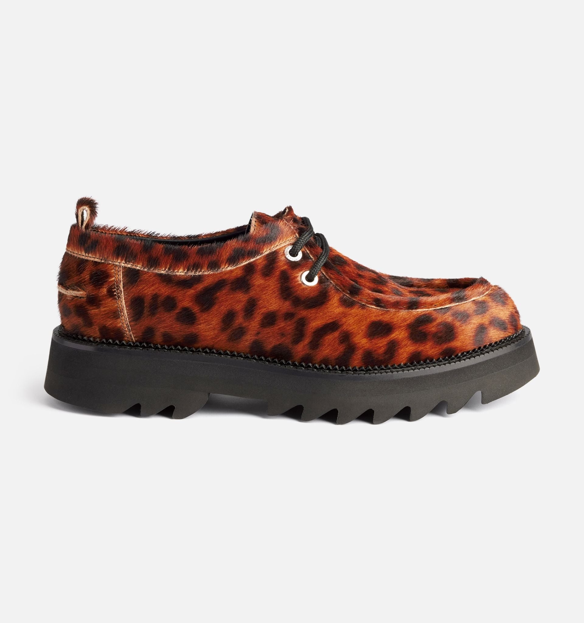 Shark Sole Derbies - 2