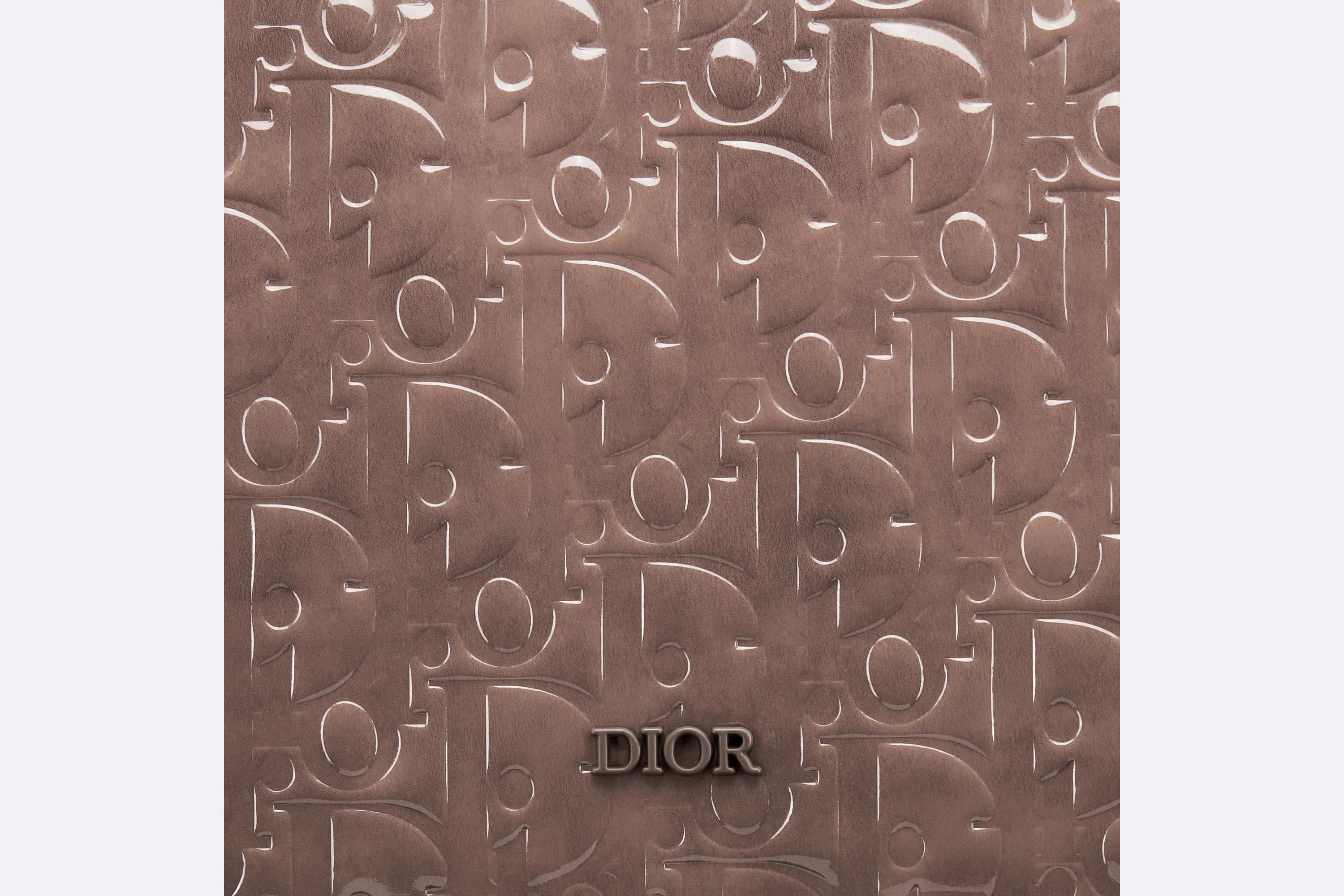 Dior Boxy Bag with Strap - 6