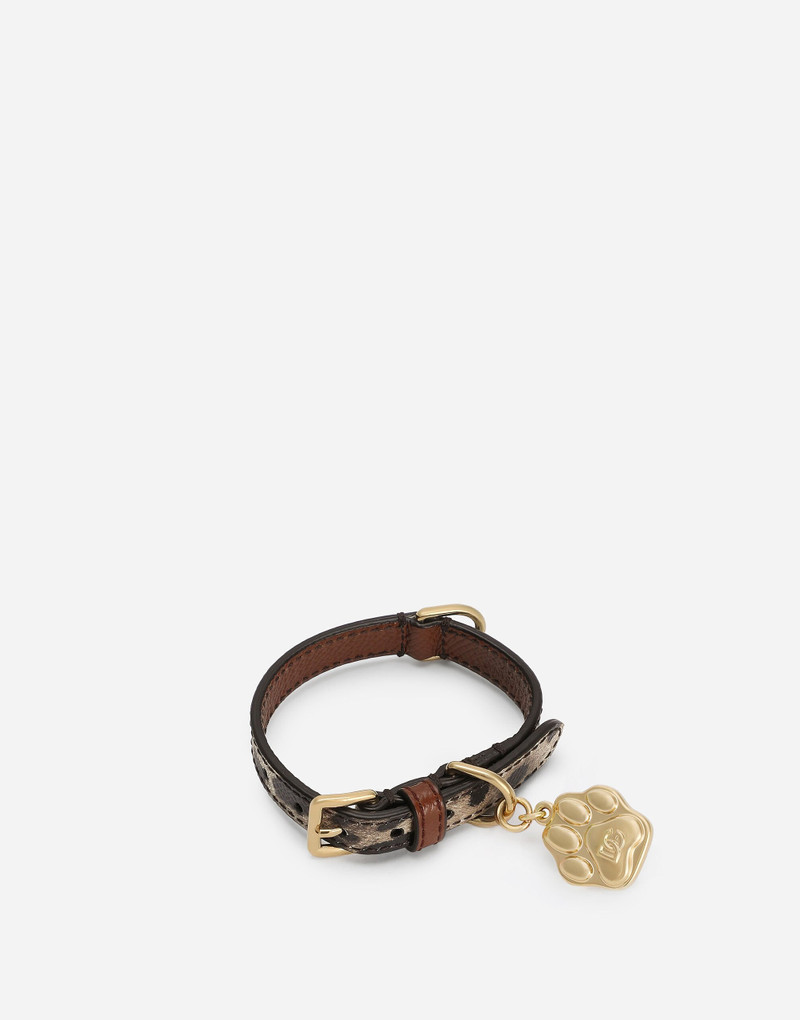 Dog collar 1