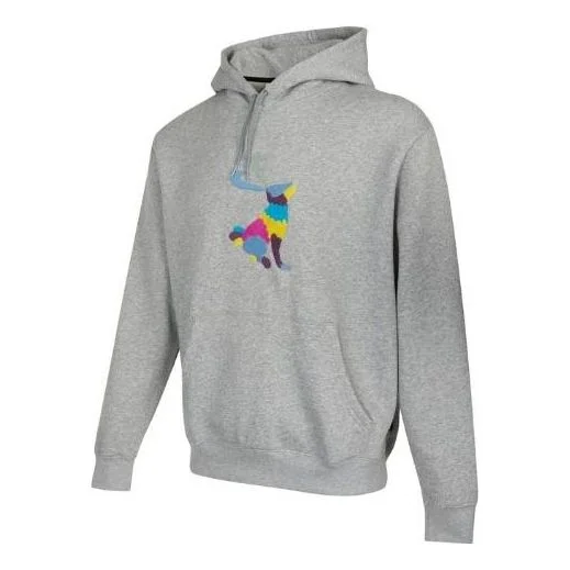 Nike graphic hoodie 'Grey' DH2882-063 - 1