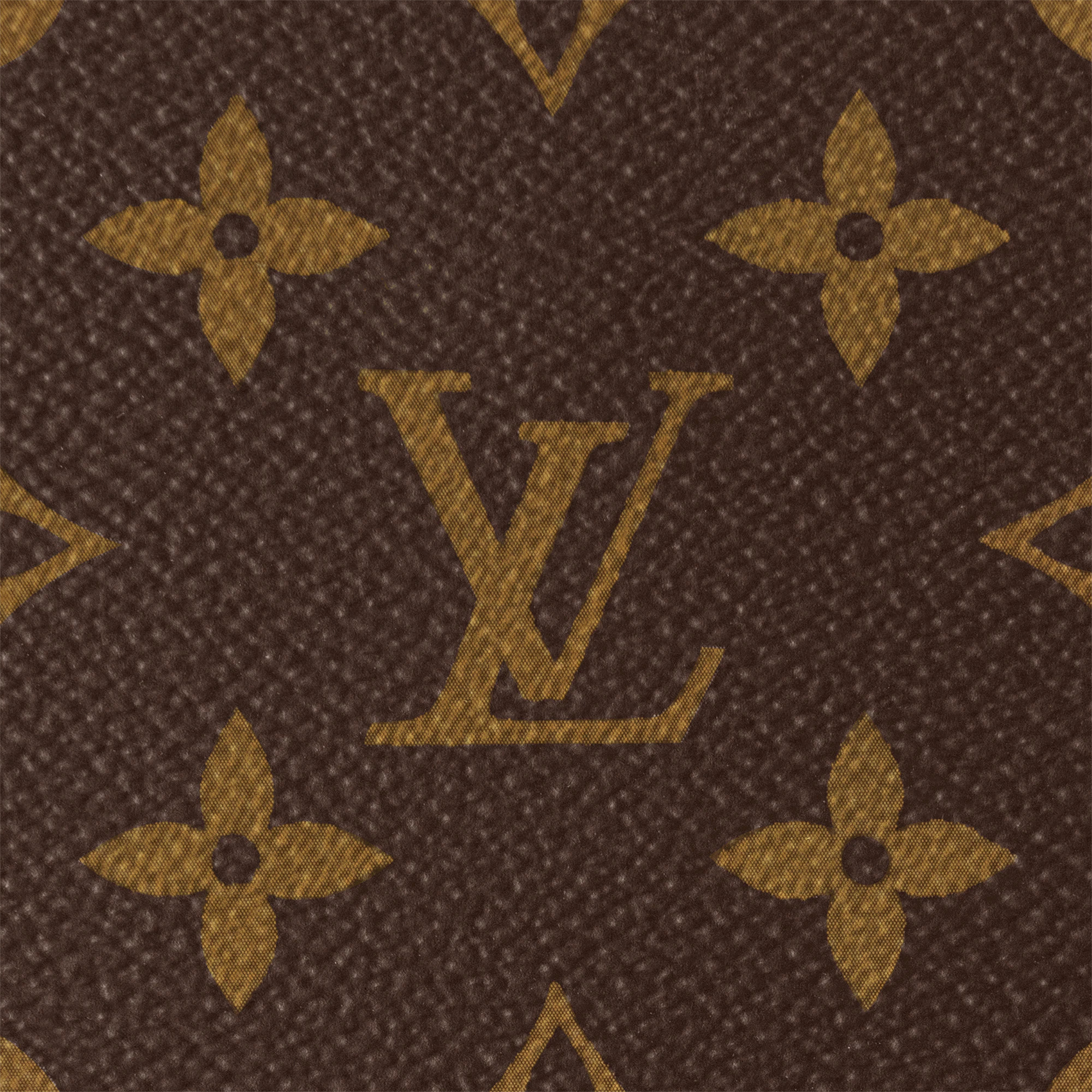 Pochette Voyage MM - 4