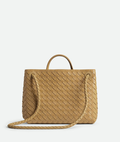 Bottega Veneta Medium Andiamo outlook