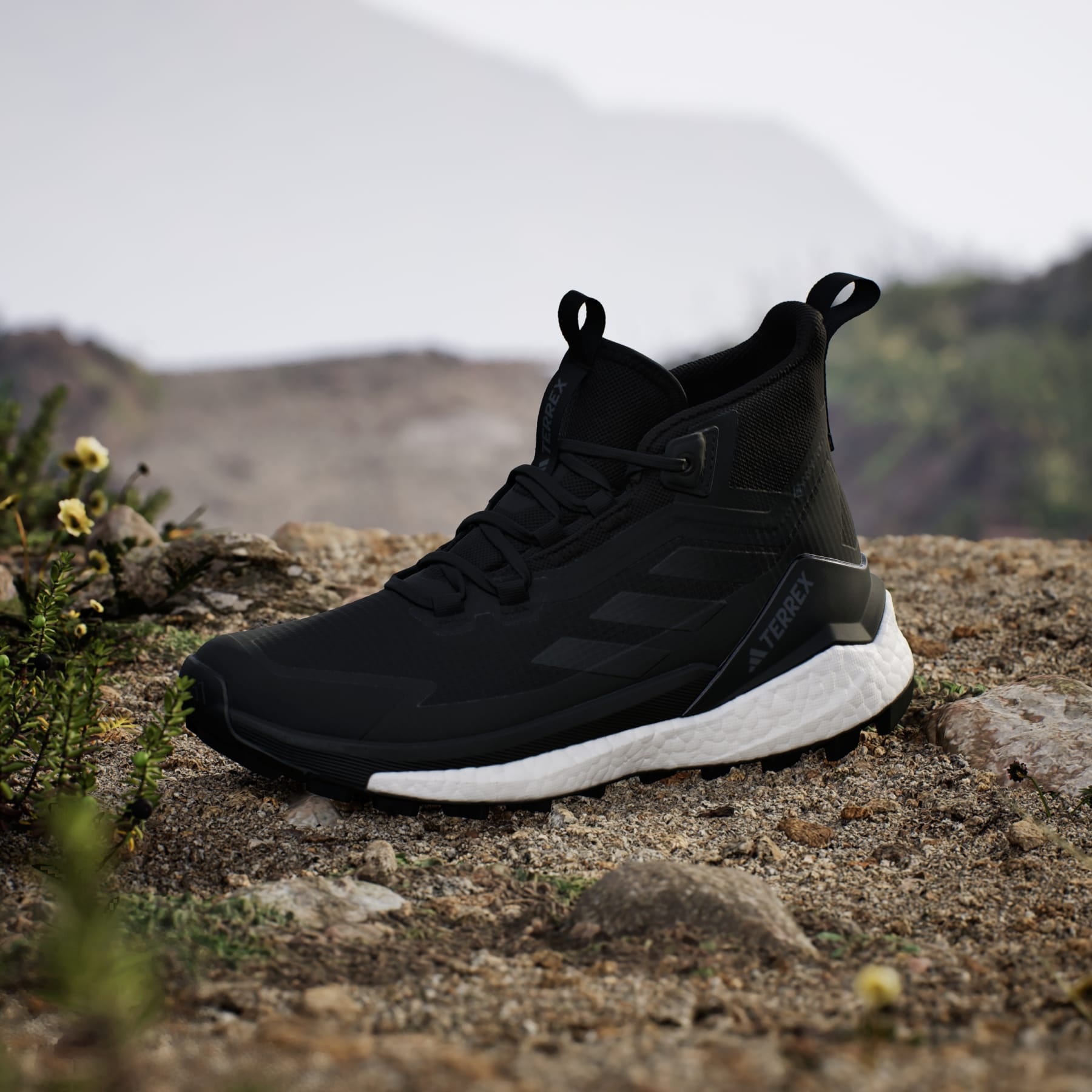 Terrex Free Hiker 2.0 Gore-Tex Hiking Shoes - 6