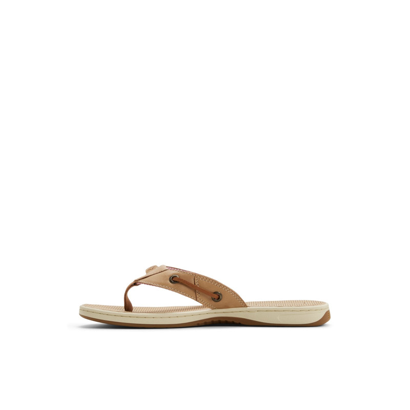 SPERRY Seafish Flip Flop Sandal outlook