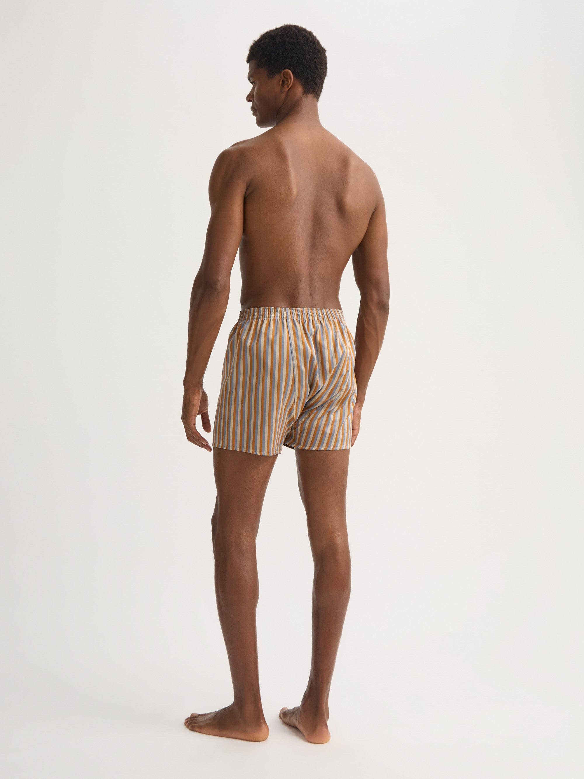 Men's Classic Fit Boxers Wellington Cotton Brown and Blue Multicolor Stripe - 4