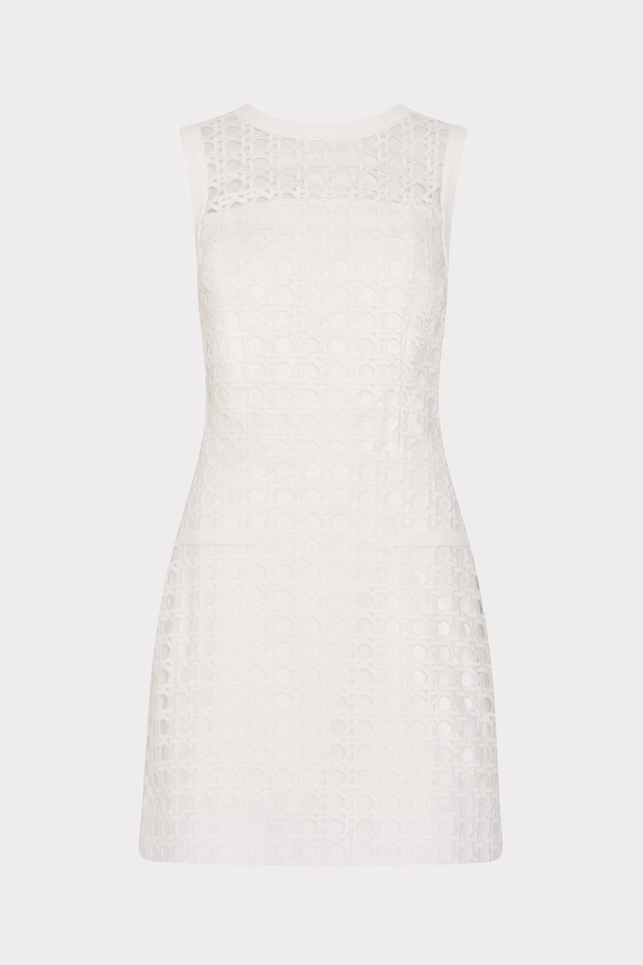 Moira Lace Mini Dress - 1