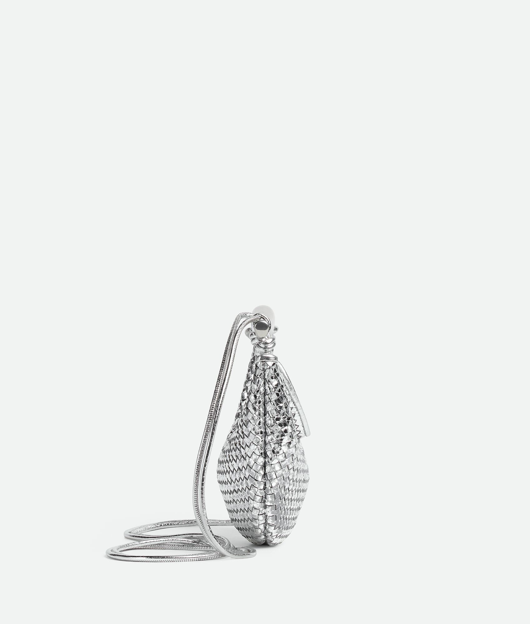 Baby Sardine - 4