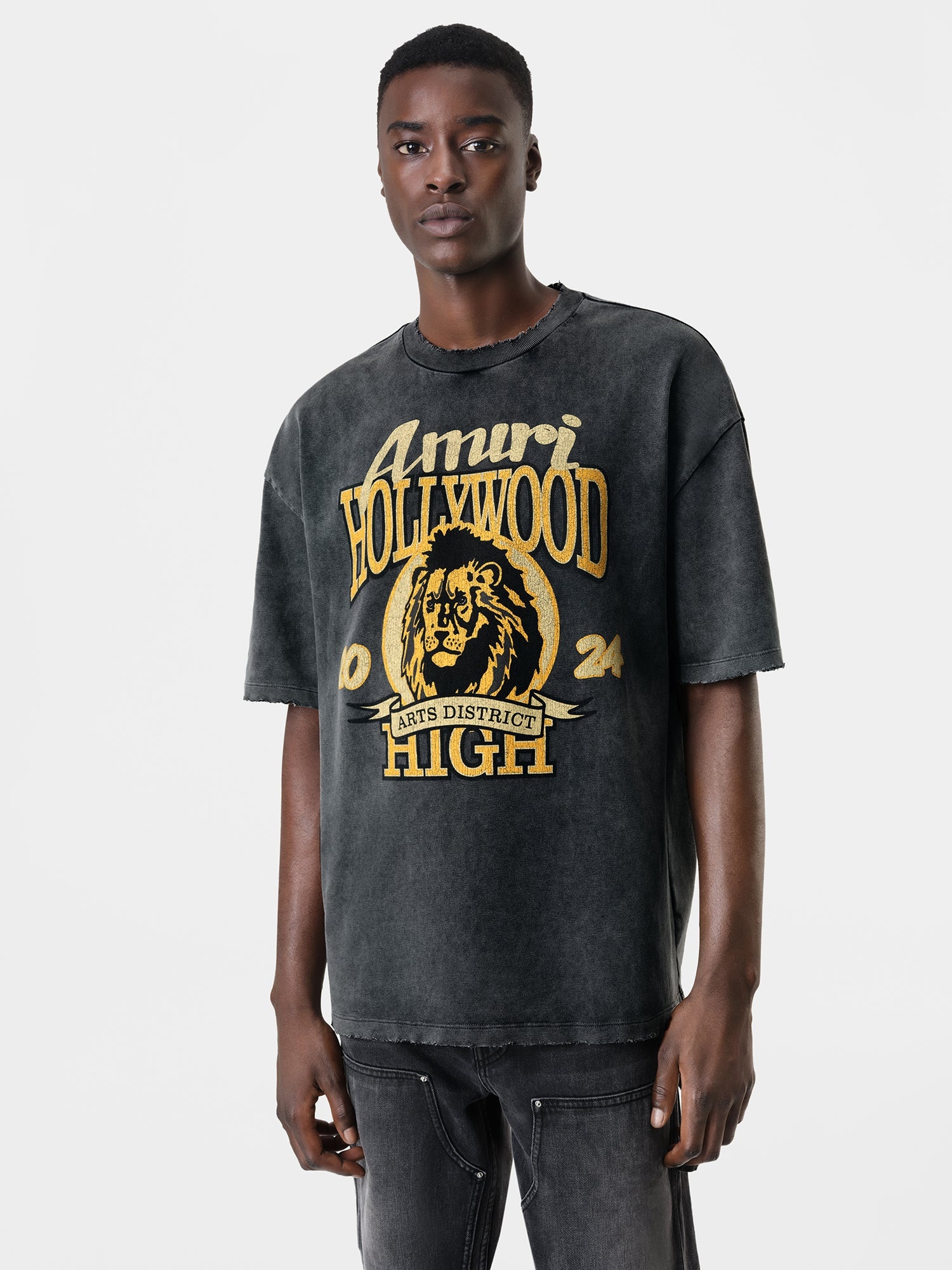 ☆送料関税込☆AMIRI☆High Lion Skater Tシャツ AMIRI AMIRI HIGH LION SKATER TEE | REVERSIBLE
