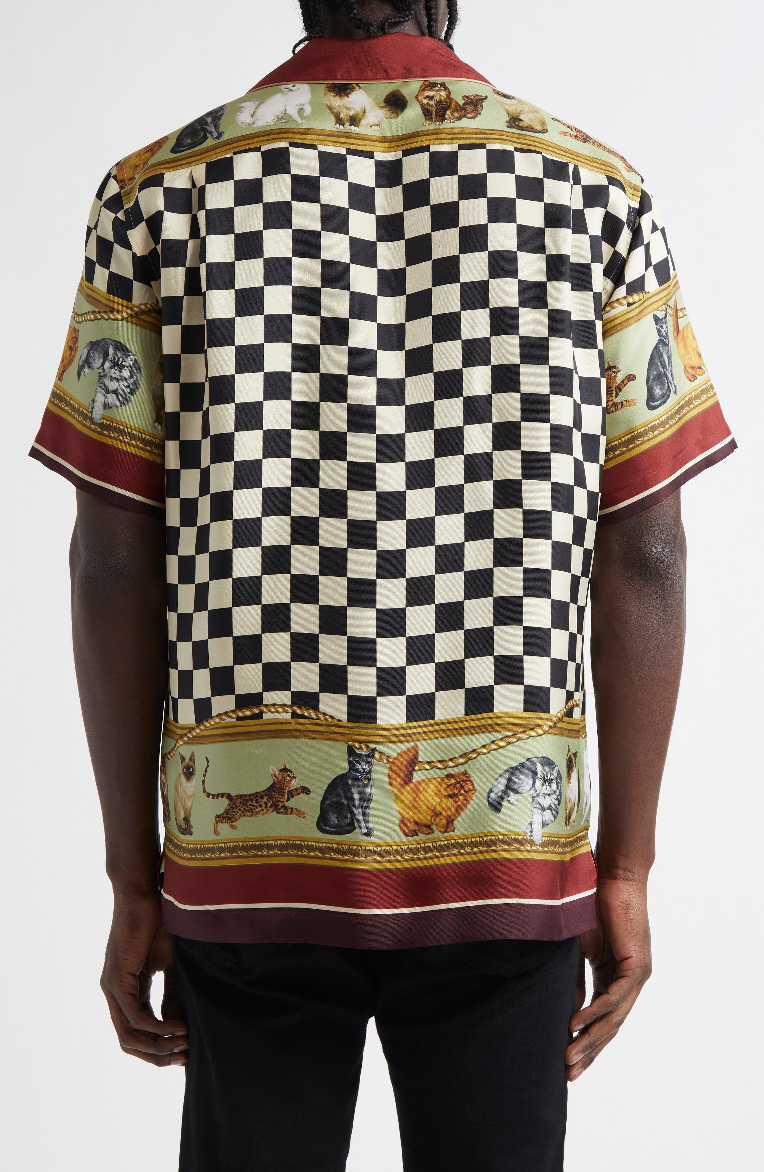 Dolce&Gabbana Cat Print Silk Camp Shirt in Gatti at Nordstrom - 3