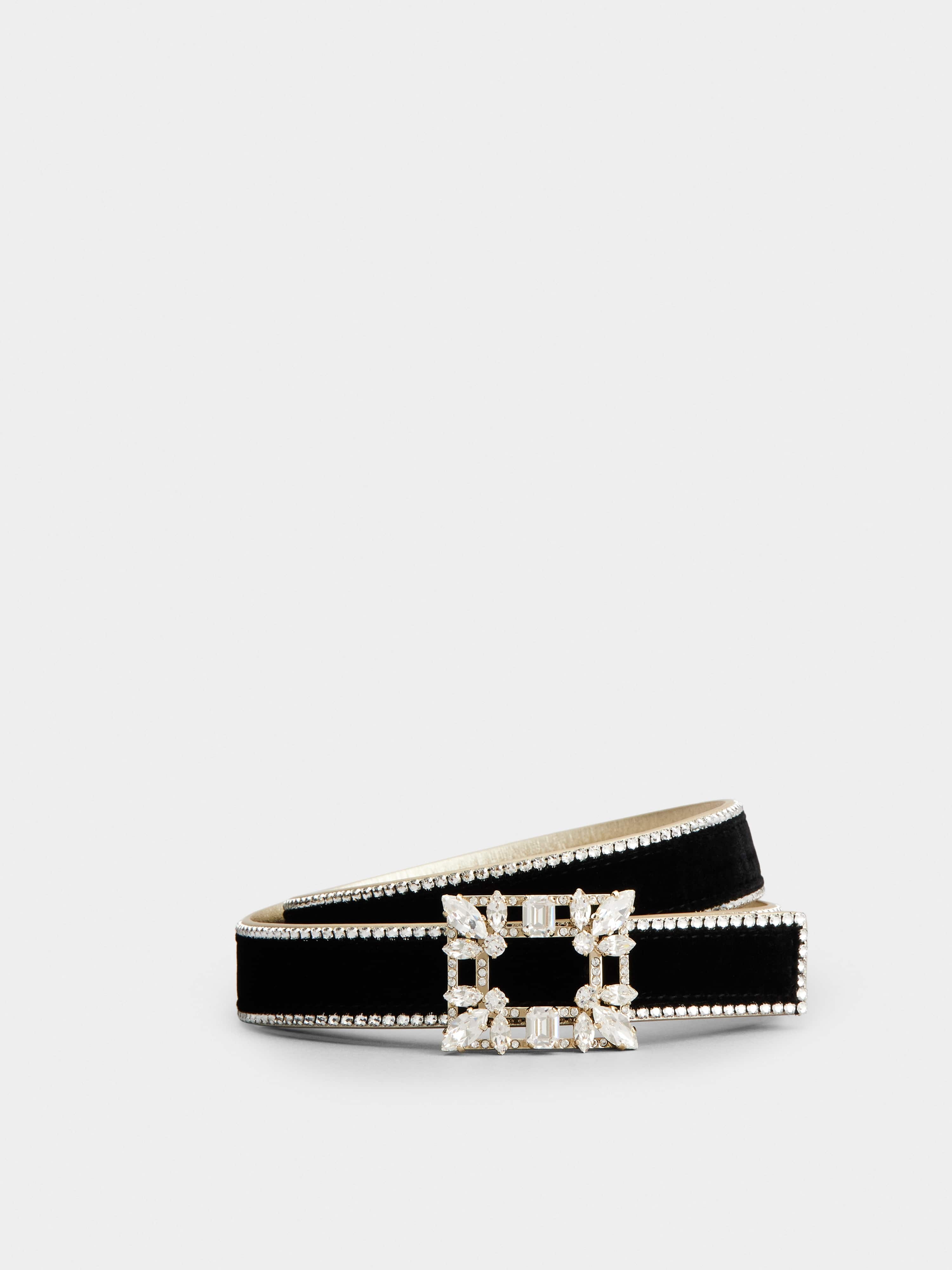 Broche Vivier Buckle Belt in Velvet - 1