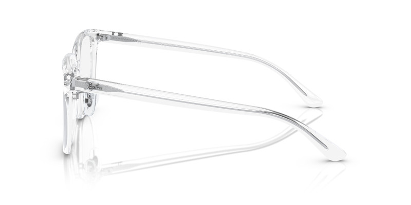 RB5419 OPTICS 5
