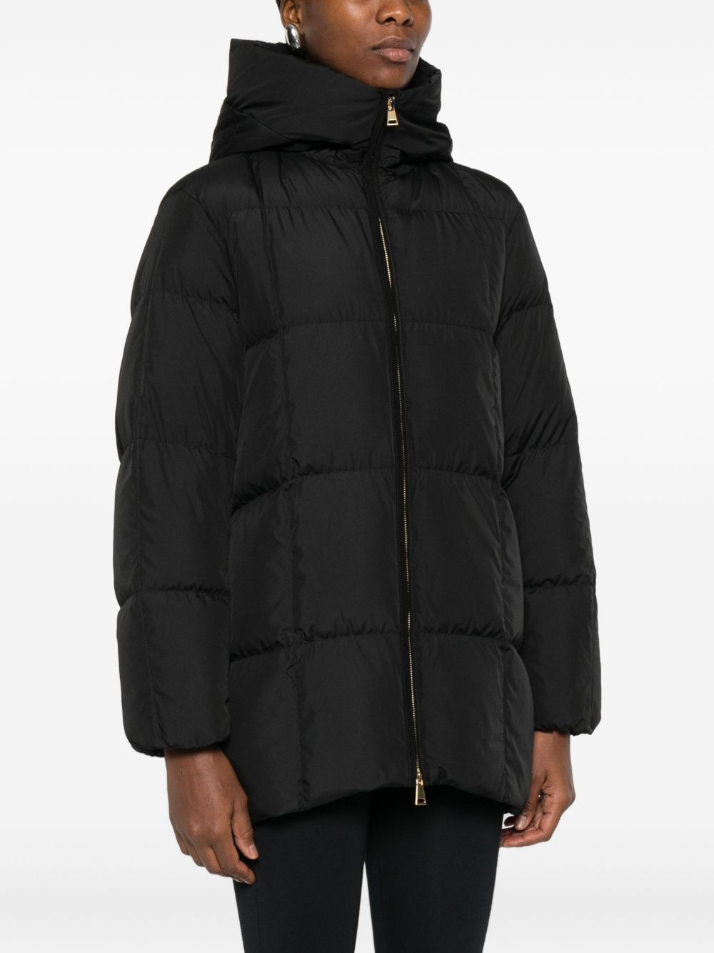 Darbon quilted hooded jacket - 3