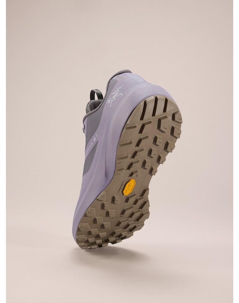 Norvan LD 3 GTX Shoe 4