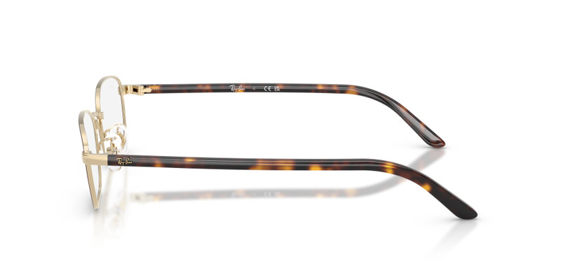 RB6551D OPTICS 5