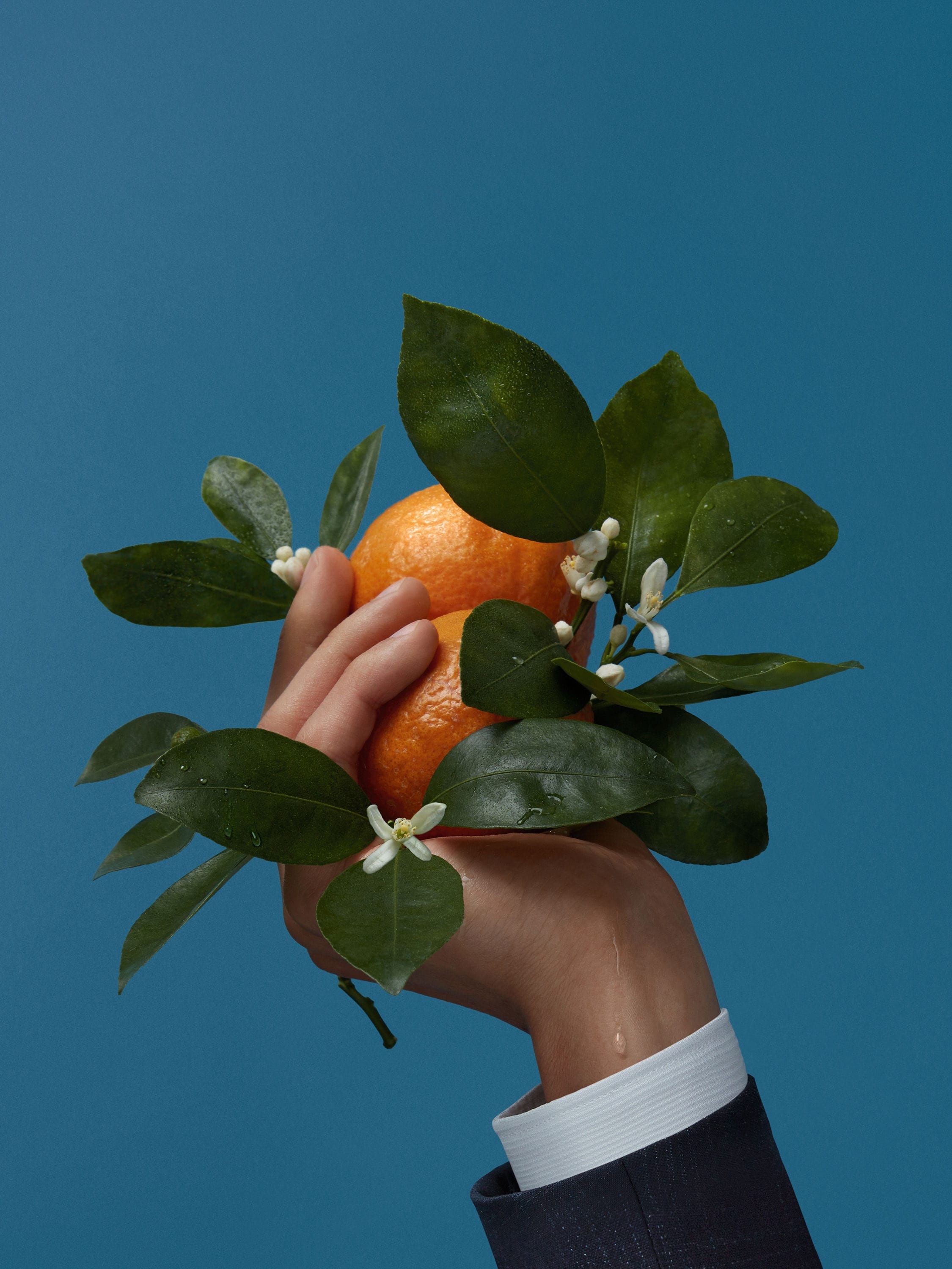 MEDITERRANEAN NEROLI 100 ML - 4