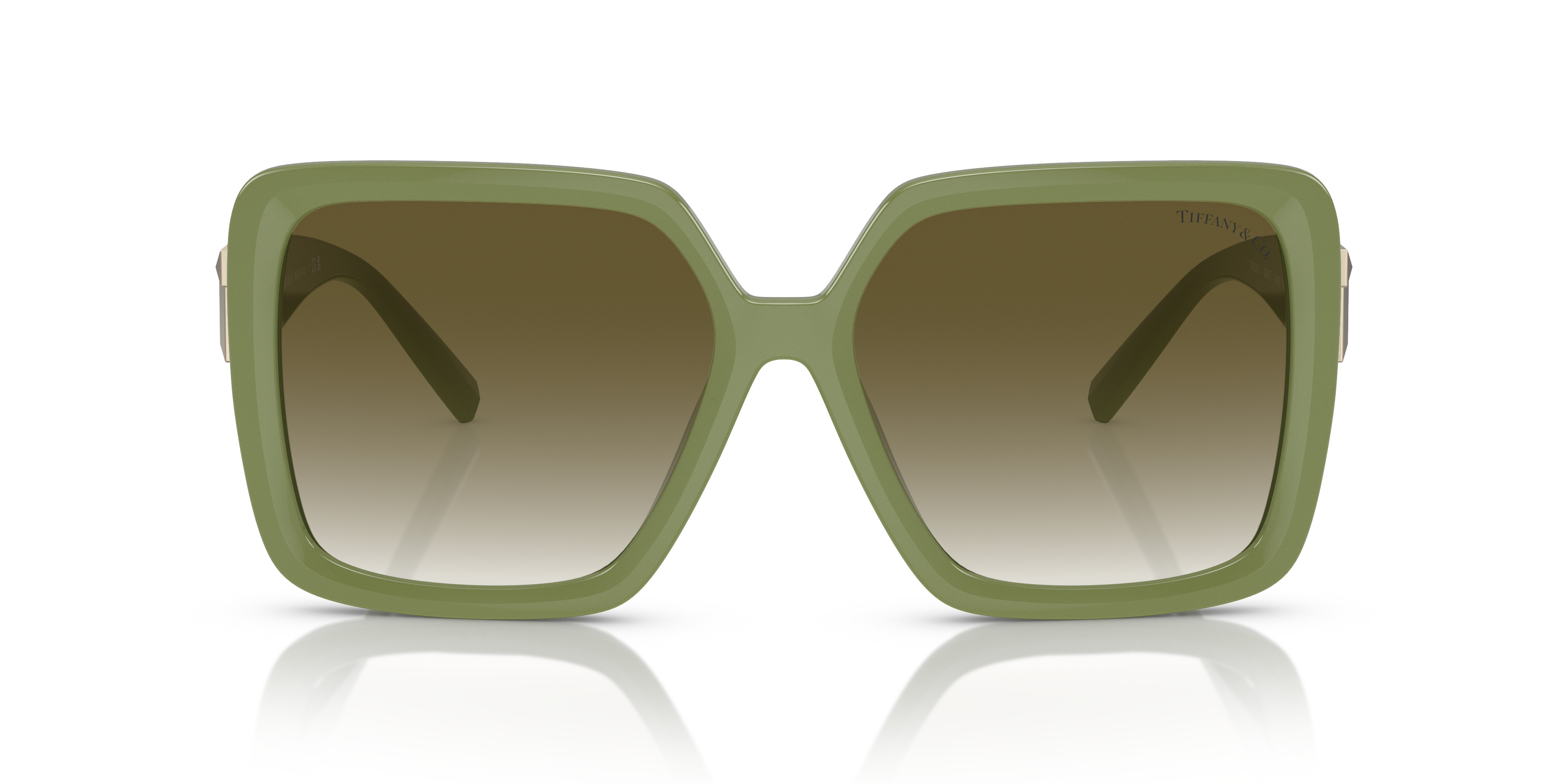 TF4206U - 2