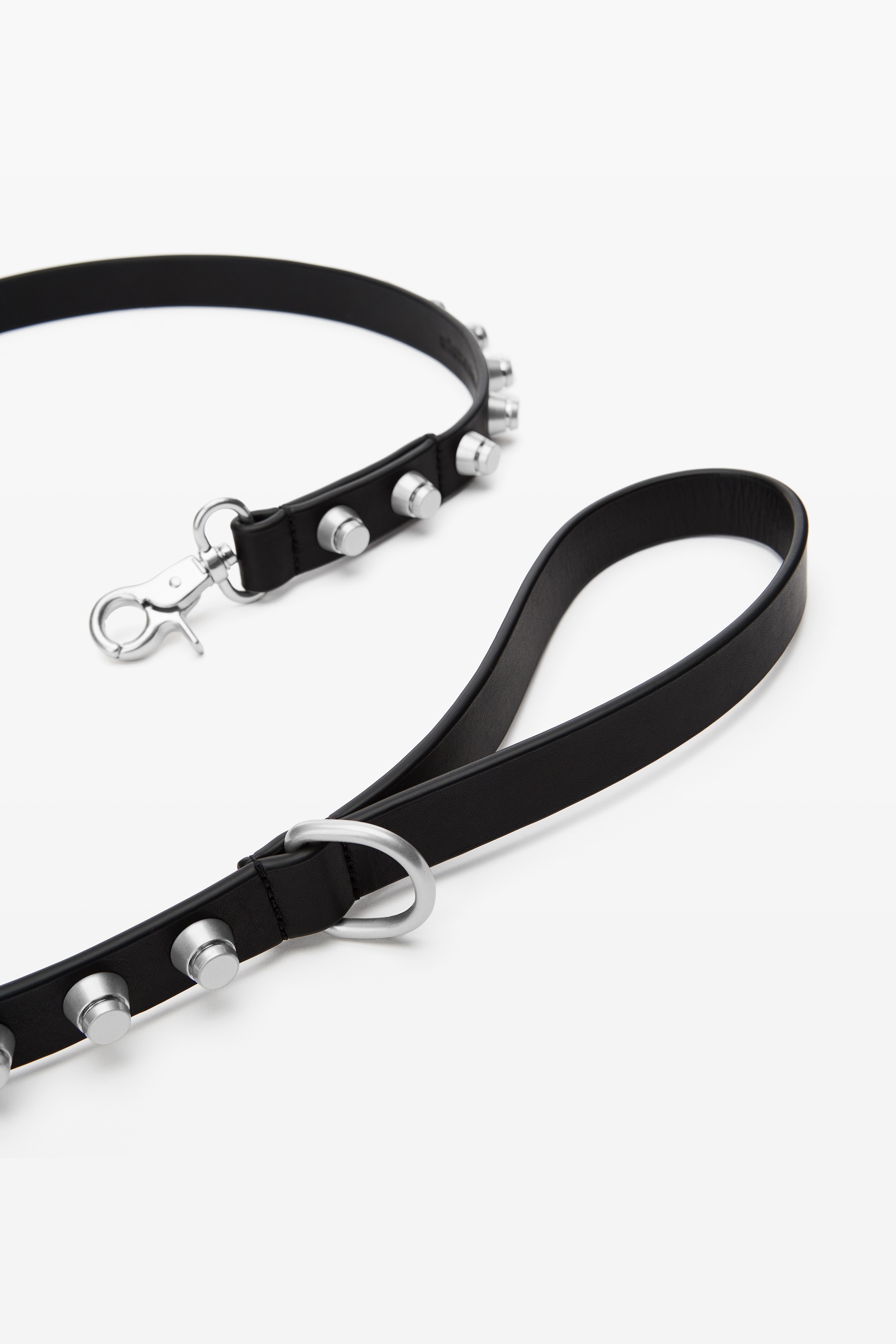 The Trap Stud Dog Leash - 4