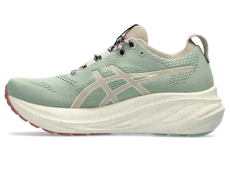 Asics GEL-NIMBUS 26 TR outlook