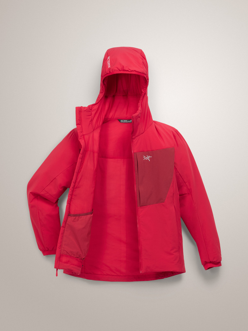 Proton Heavyweight Hoody 8