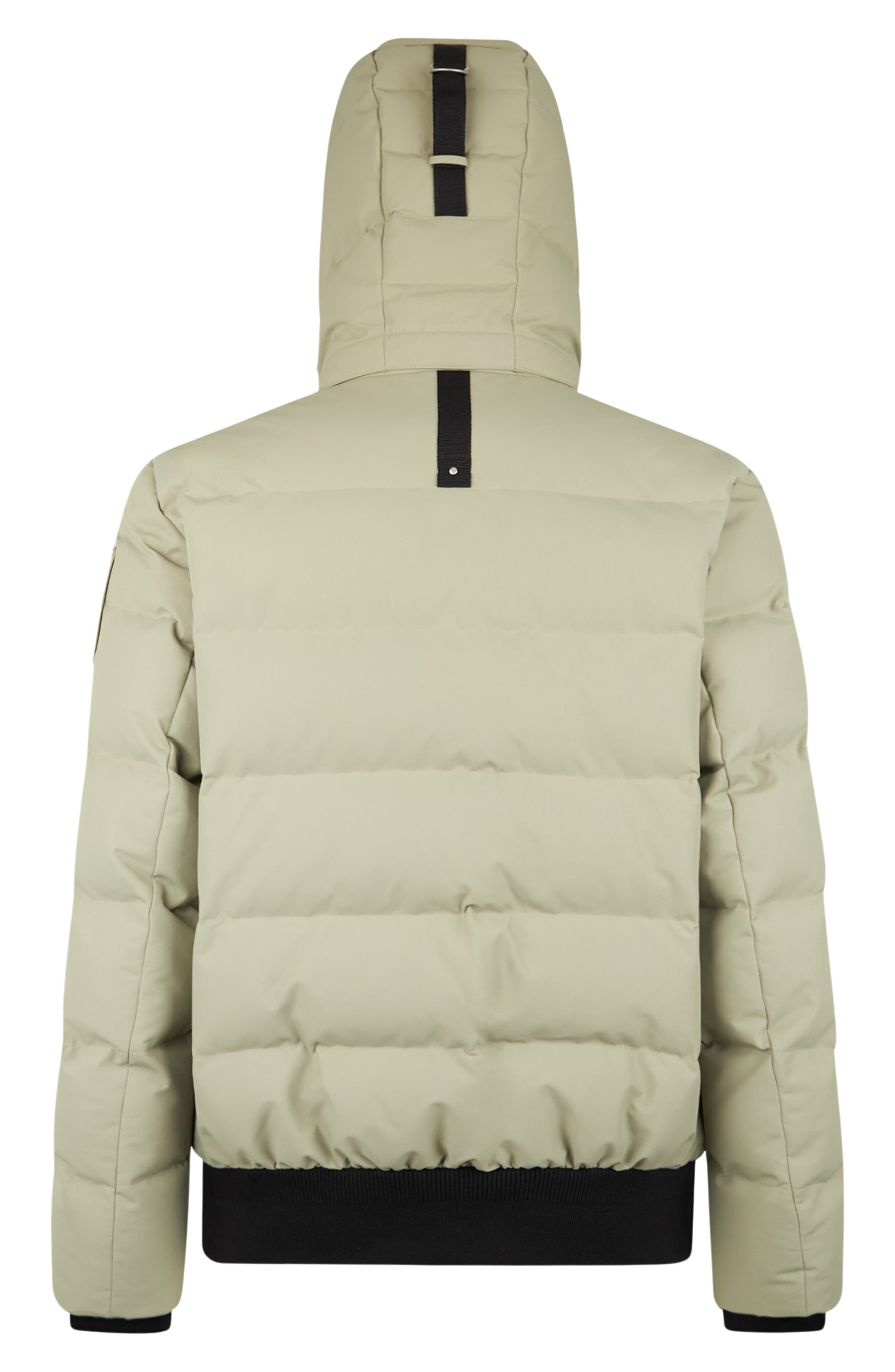 Moose Knuckles Cloud Down Puffer Bomber Jacket with Removable Hood in Sage at Nordstrom - 5
