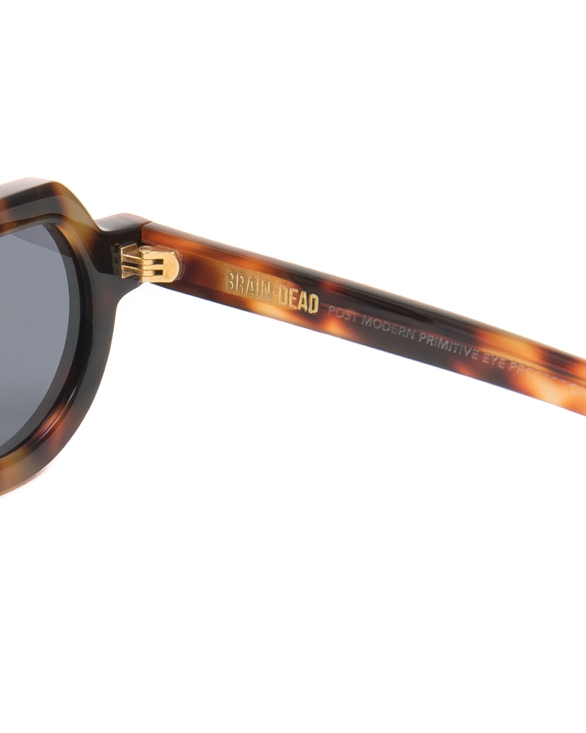 Tani Post Modern Primitive Eye Protection - Brown Tortoise/Black - 4