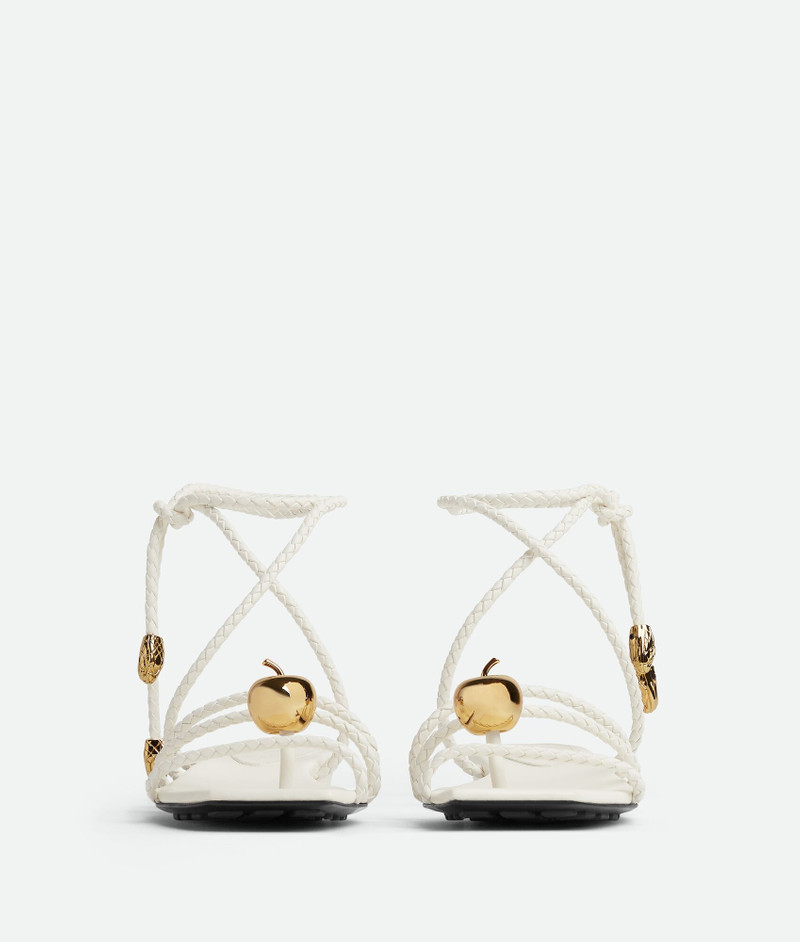 Adam Flat Sandal 2