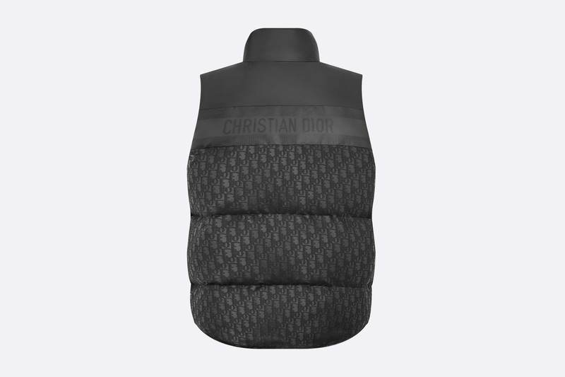 Dior DiorAlps Puffer Vest outlook