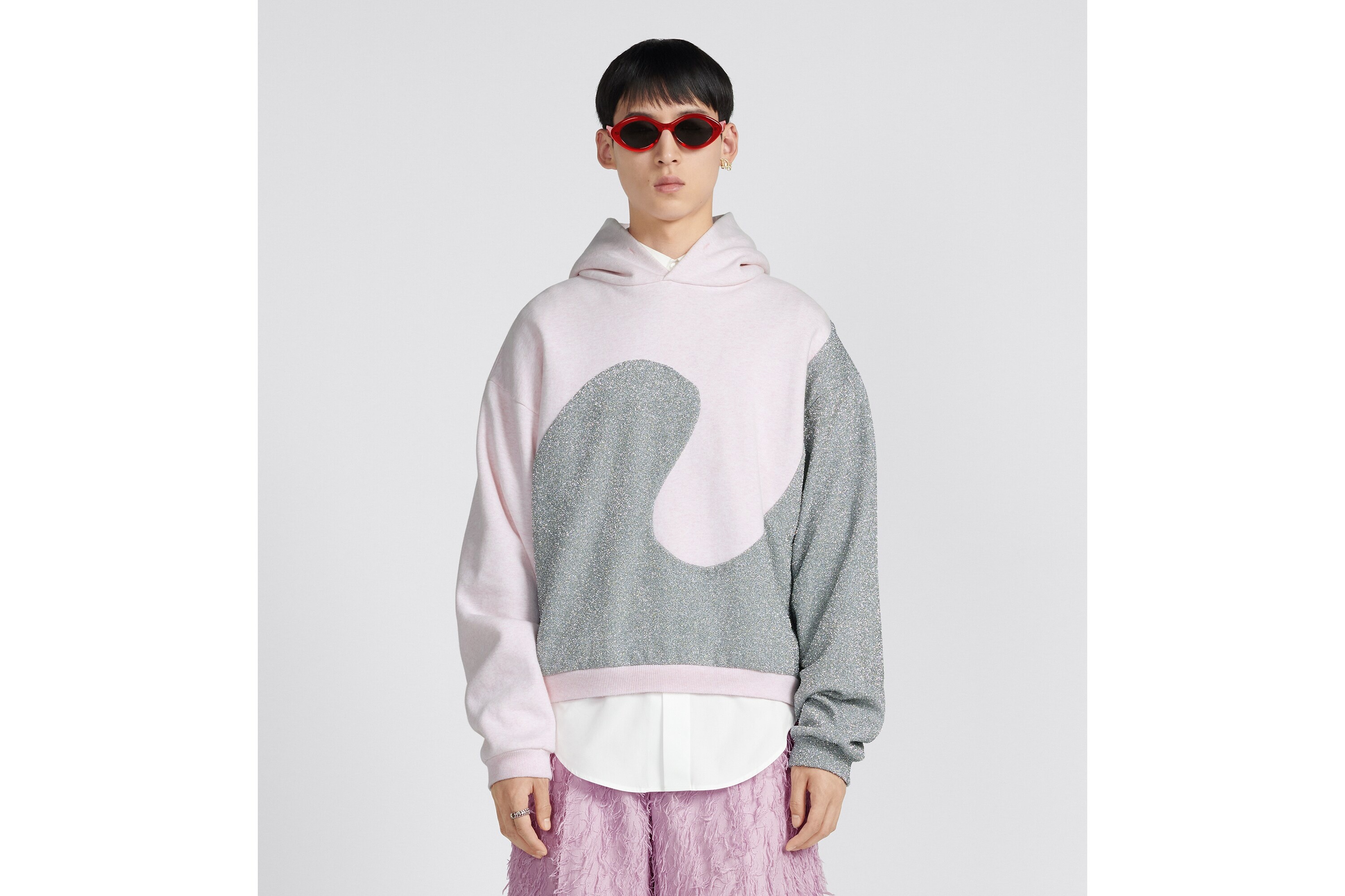 DIOR BY ERL Hooded Sweatshirt, Relaxed Fit - 4
