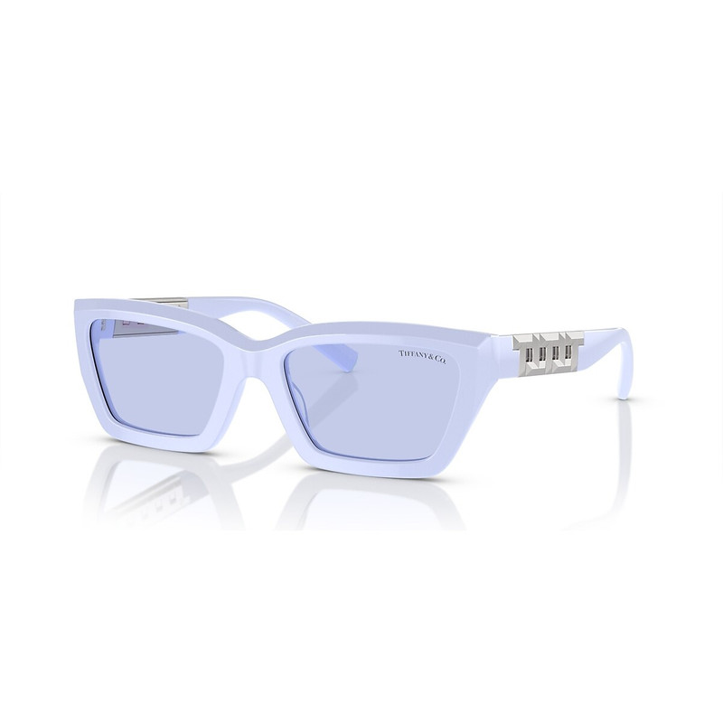Tiffany & Co. TF4213 outlook