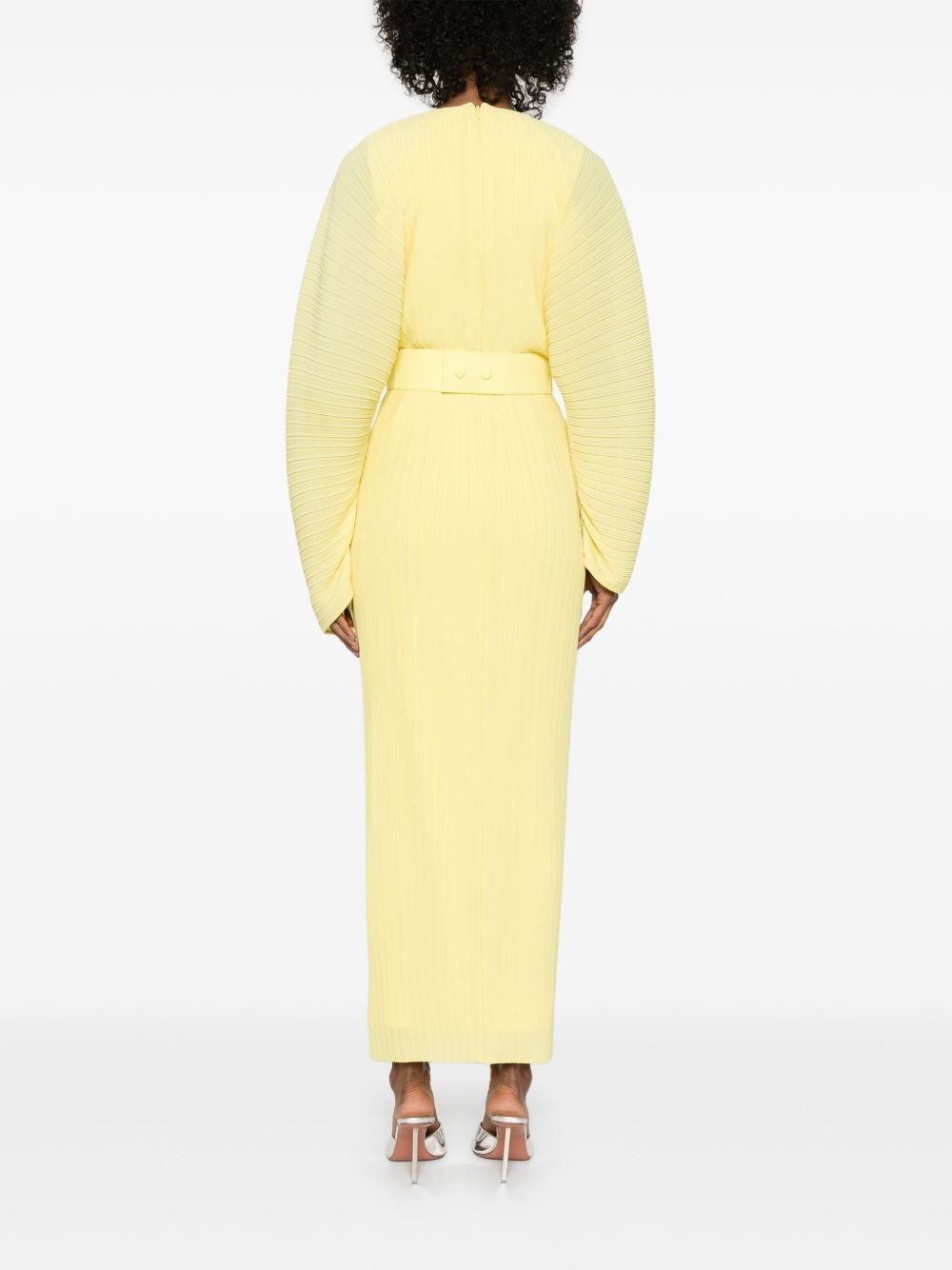 Mirabelle maxi dress - 4