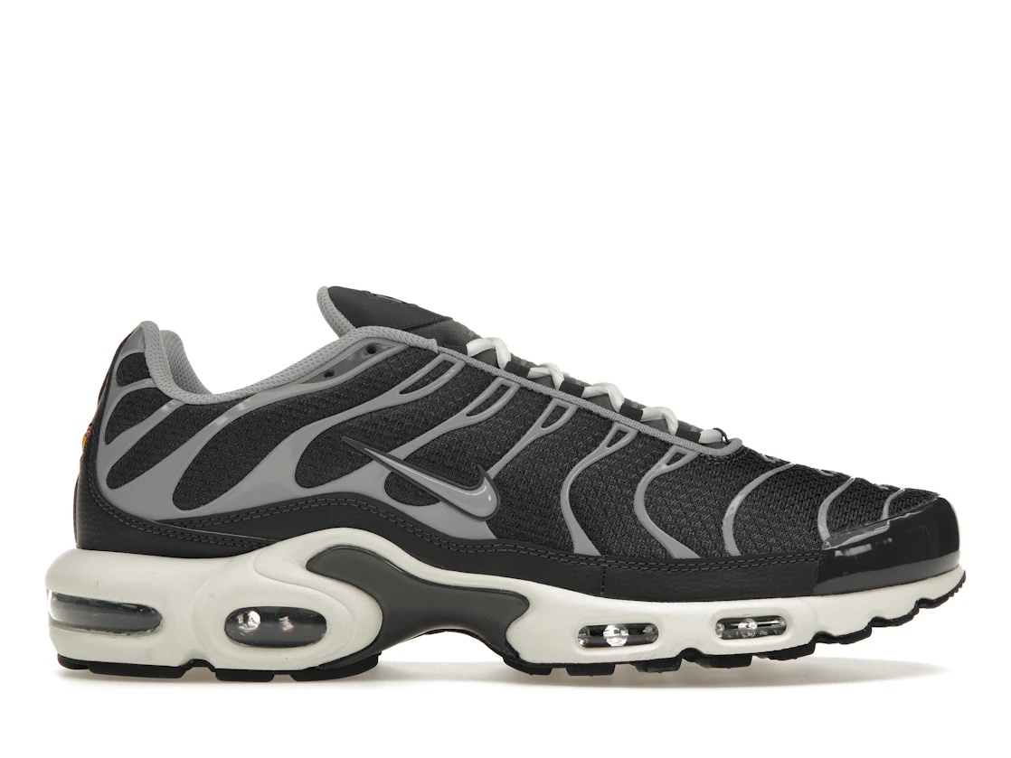 Nike Air Max Plus Greyscale Cool Grey - 1