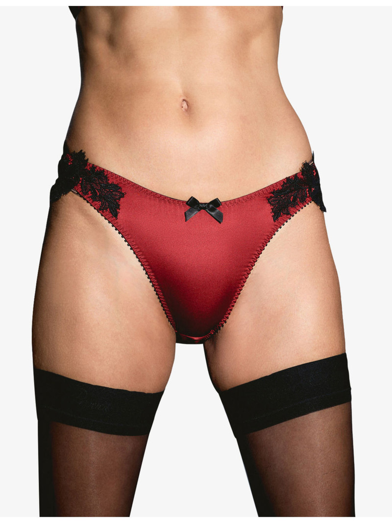 Agent Provocateur Penelopi Embroidered Silk Briefs outlook