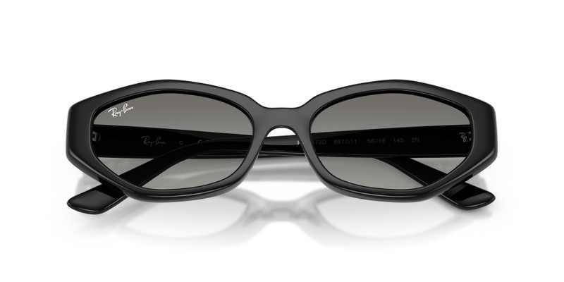 Ray-Ban RB4473D outlook