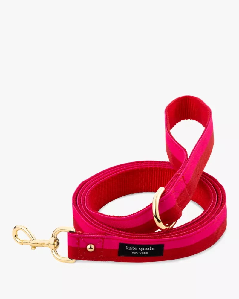 Colorblock Leash - 1