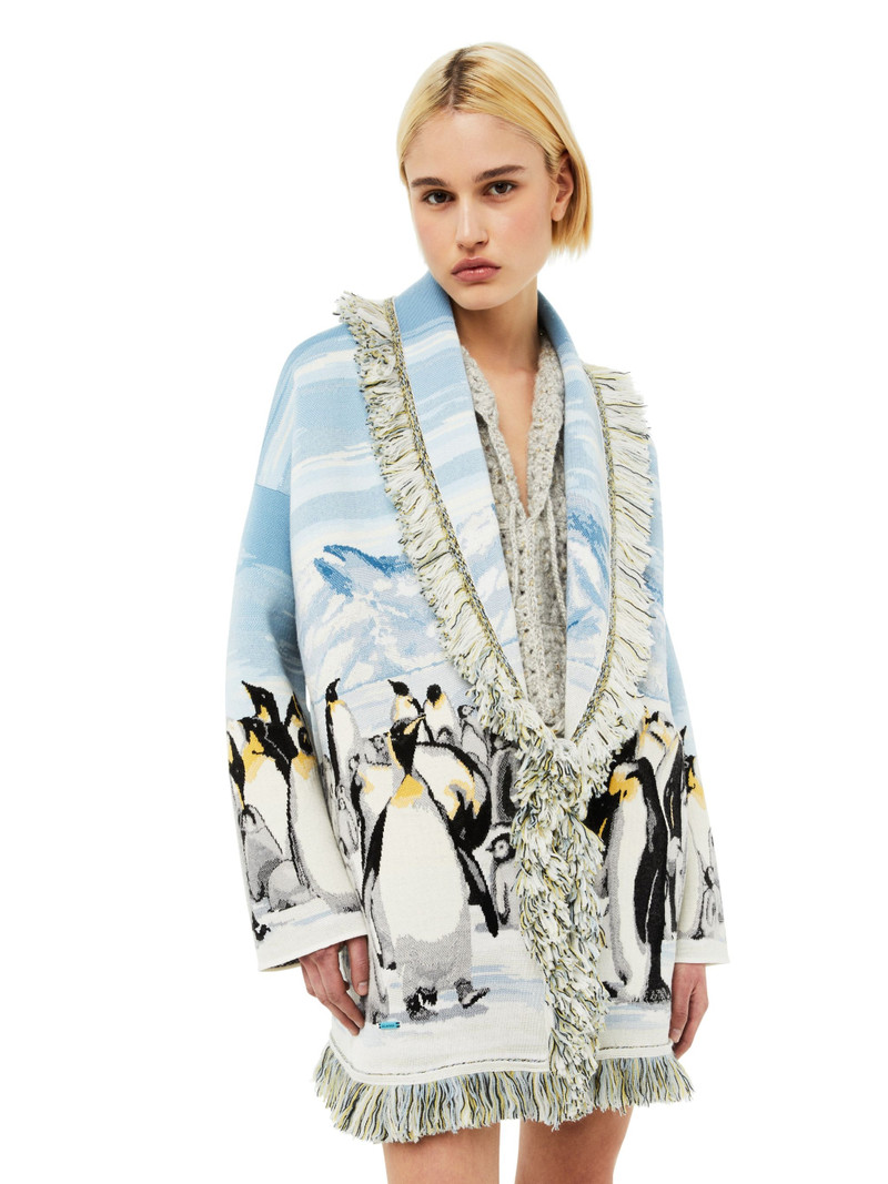 Postcard From Antarctic Cardi 9