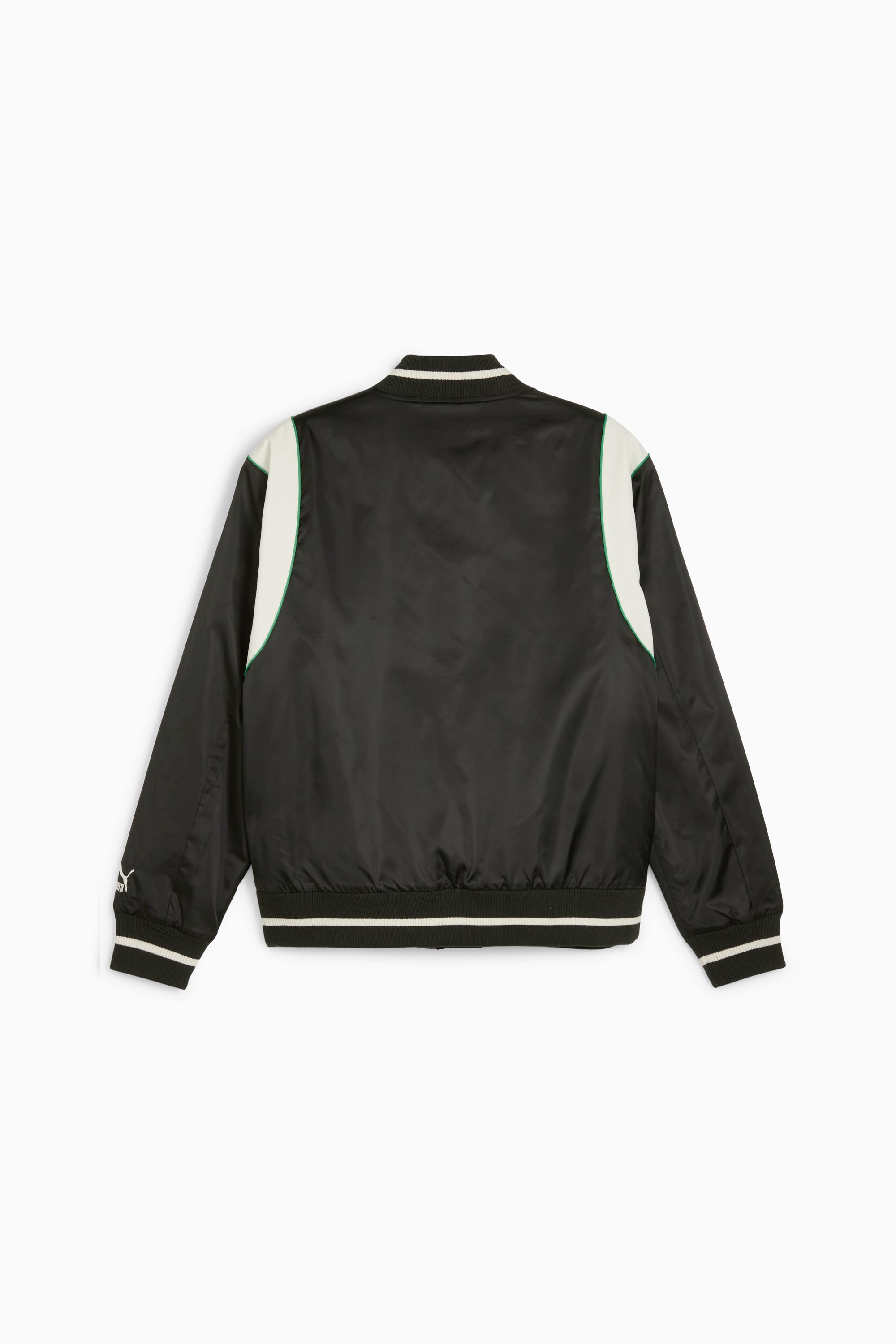 For the Fanbase PUMA TEAM Men's Varsity Jacket - 2