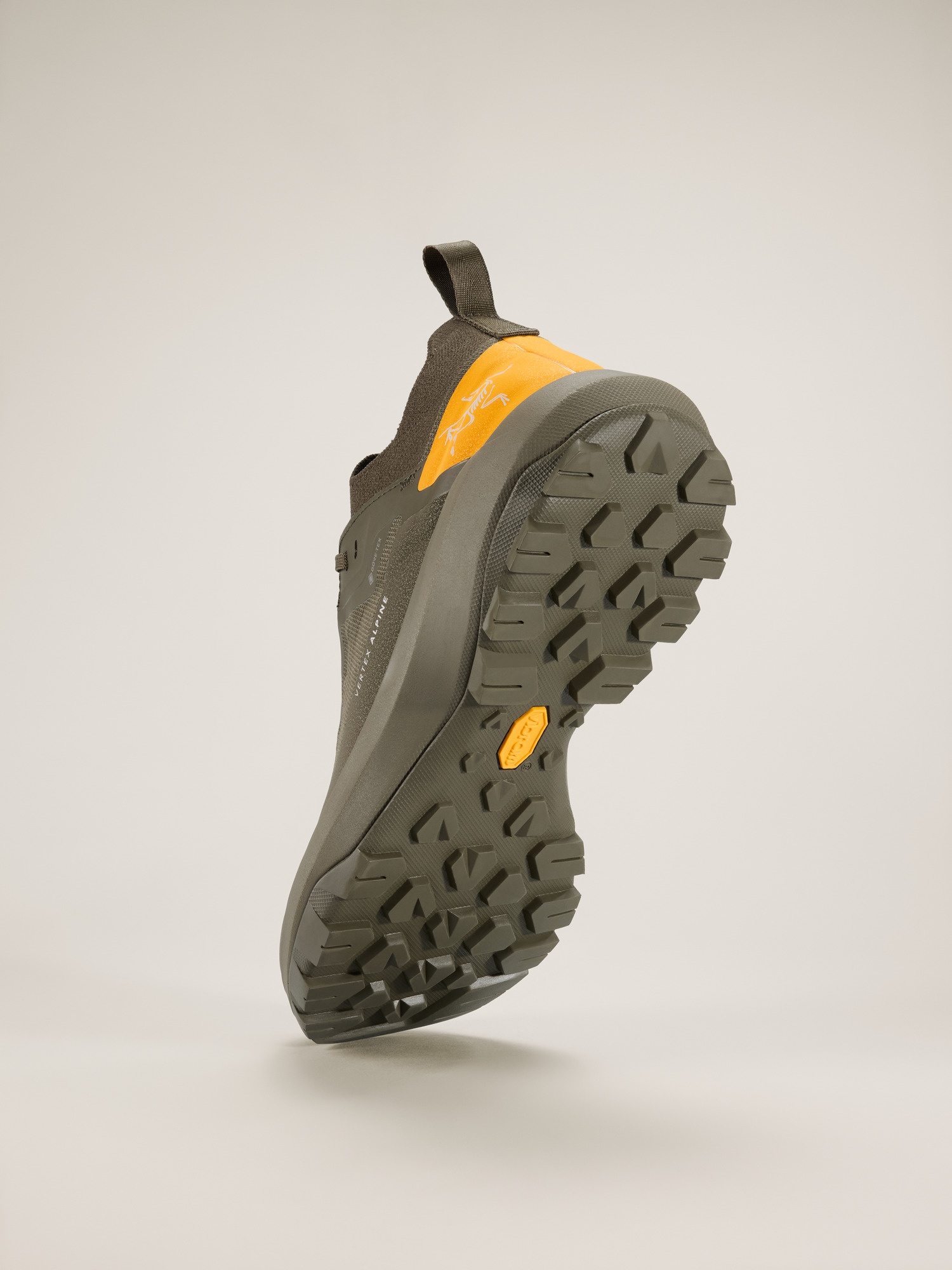 Vertex Alpine GTX Shoe - 4