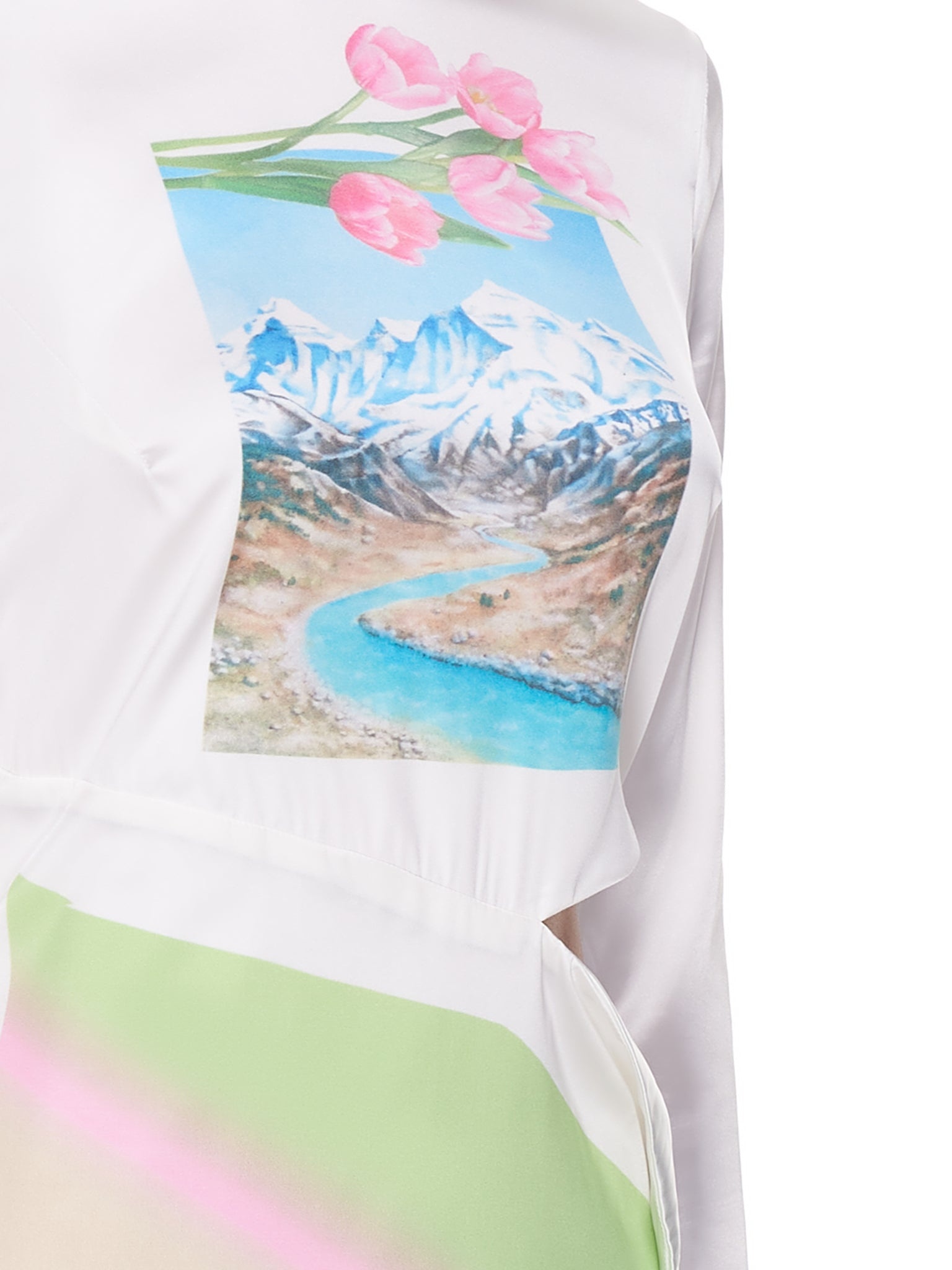 Alpine Peel Dress - 5