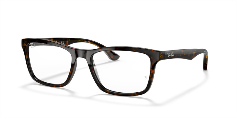 RB5279 OPTICS 1