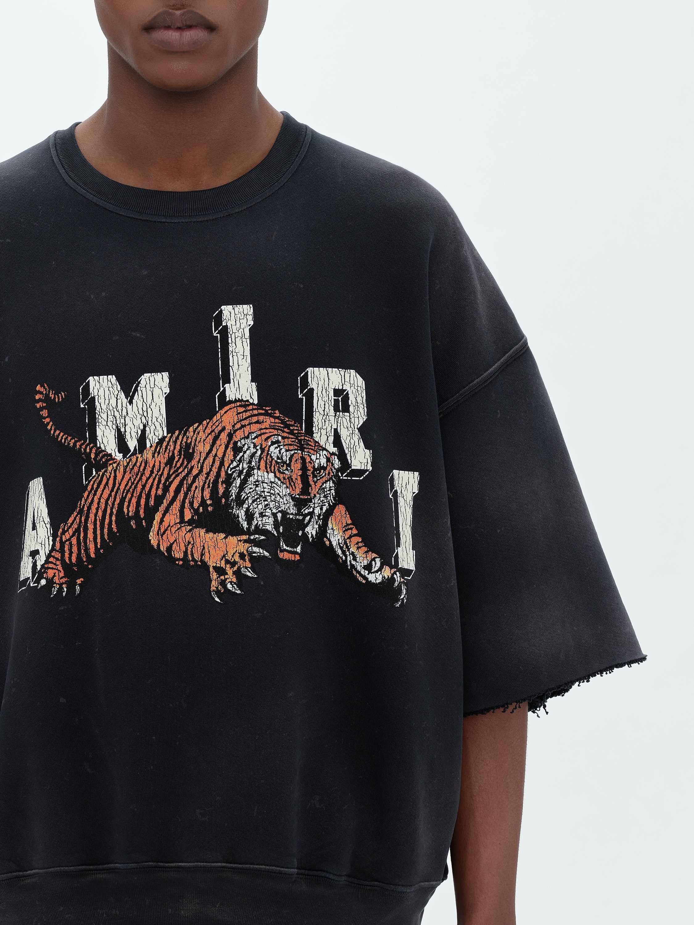 VINTAGE SS TIGER CREW - 5