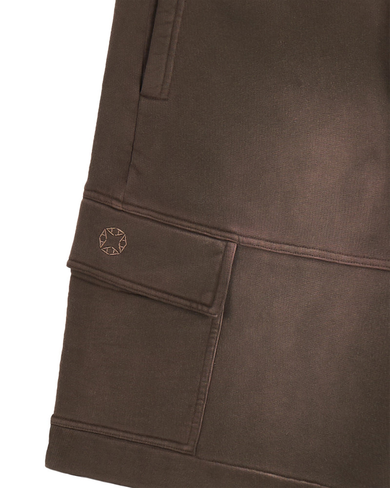 BROWN GARMENT DYE CARGO SHORTS 3
