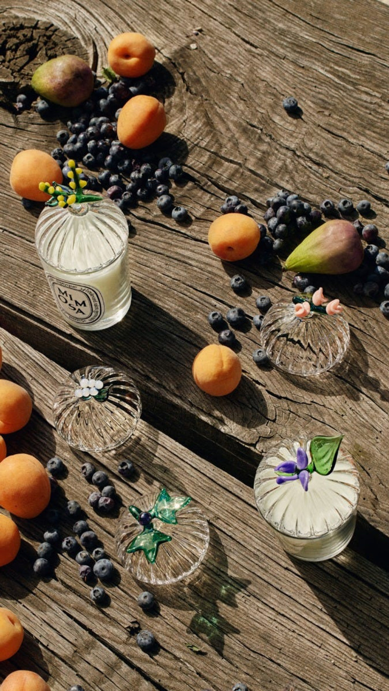 Mimosa Lid - For classic candles 4